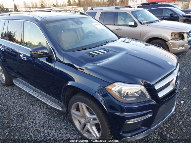 Photo 5 VIN: 4JGDF7DE2GA661379 - MERCEDES-BENZ GL-CLASS 