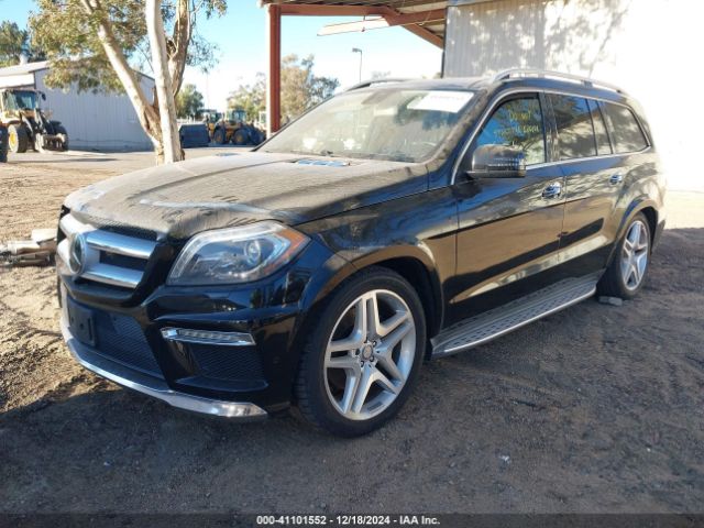 Photo 1 VIN: 4JGDF7DE5FA455424 - MERCEDES-BENZ GL-CLASS 