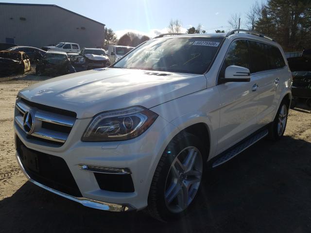 Photo 1 VIN: 4JGDF7DE7FA528941 - MERCEDES-BENZ GL 550 