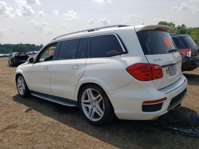 Photo 1 VIN: 4JGDF7DE8DA230198 - MERCEDES-BENZ GL 550 4MA 