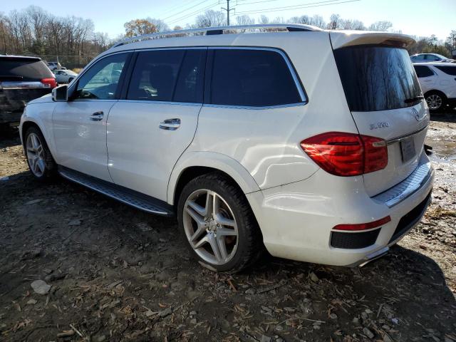 Photo 1 VIN: 4JGDF7DE9EA331736 - MERCEDES-BENZ GL-CLASS 