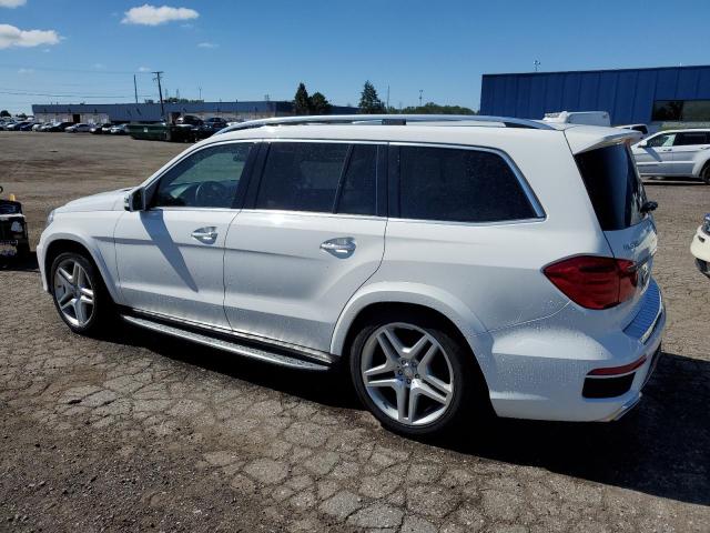 Photo 1 VIN: 4JGDF7DE9FA513261 - MERCEDES-BENZ GL 550 4MA 