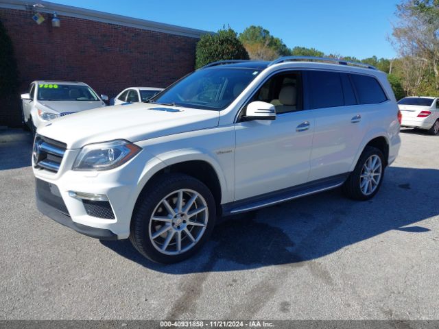 Photo 1 VIN: 4JGDF7DE9FA547846 - MERCEDES-BENZ GL-CLASS 