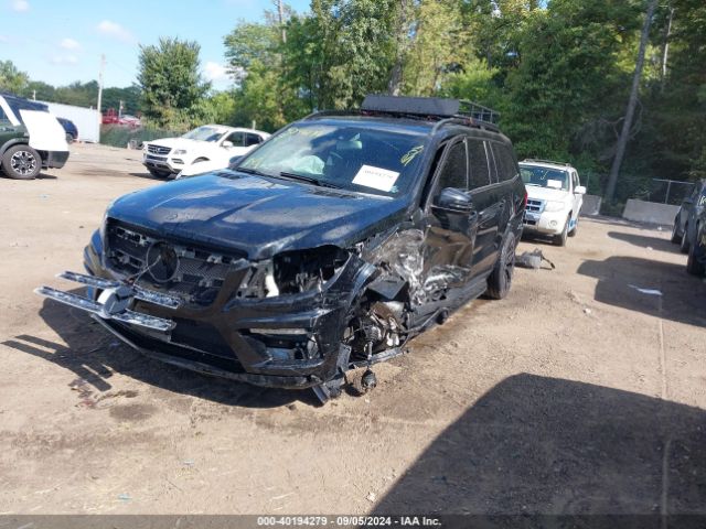 Photo 1 VIN: 4JGDF7DE9FA593936 - MERCEDES-BENZ GL-CLASS 