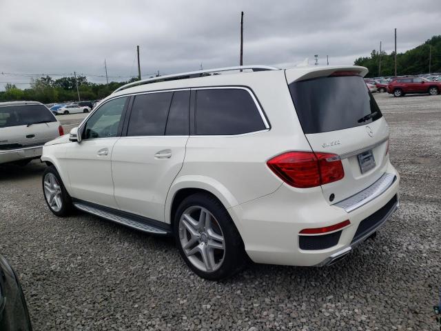 Photo 1 VIN: 4JGDF7DEXFA555373 - MERCEDES-BENZ GL-CLASS 