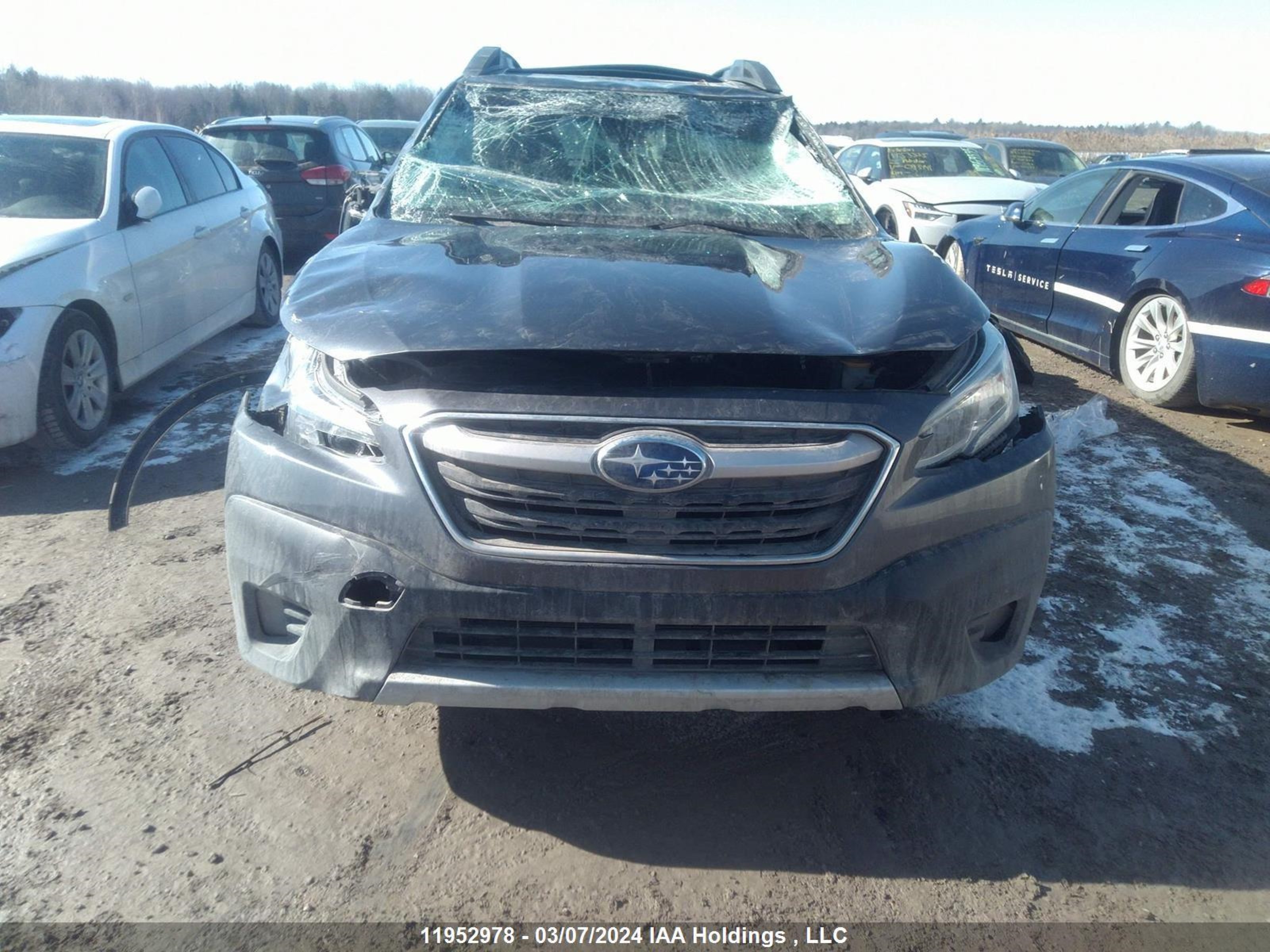 Photo 11 VIN: 4S4BTDNC3L3241026 - SUBARU OUTBACK 