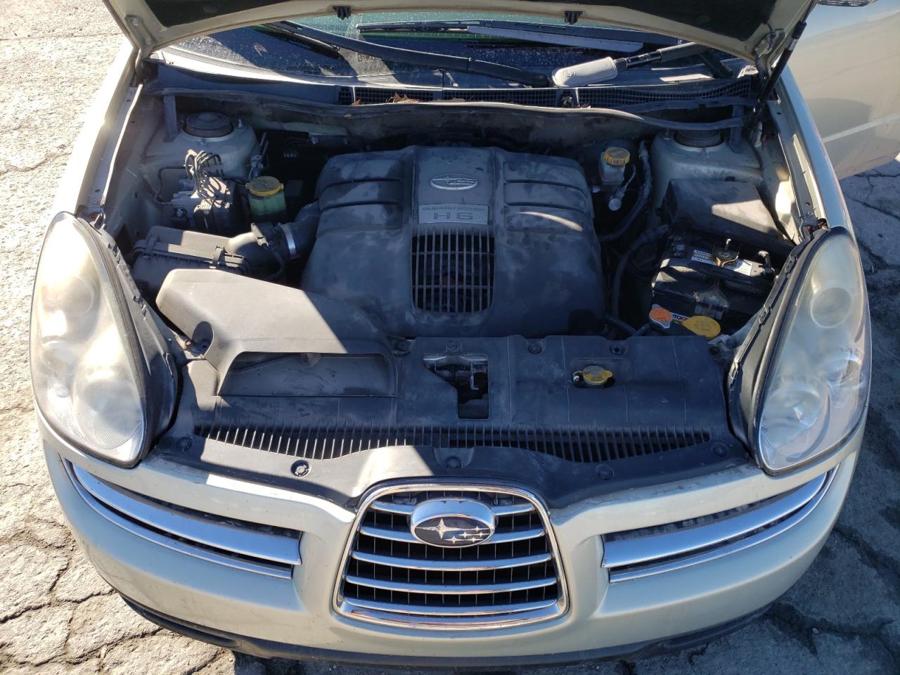 Photo 11 VIN: 4S4WX86C364410455 - SUBARU TRIBECA 