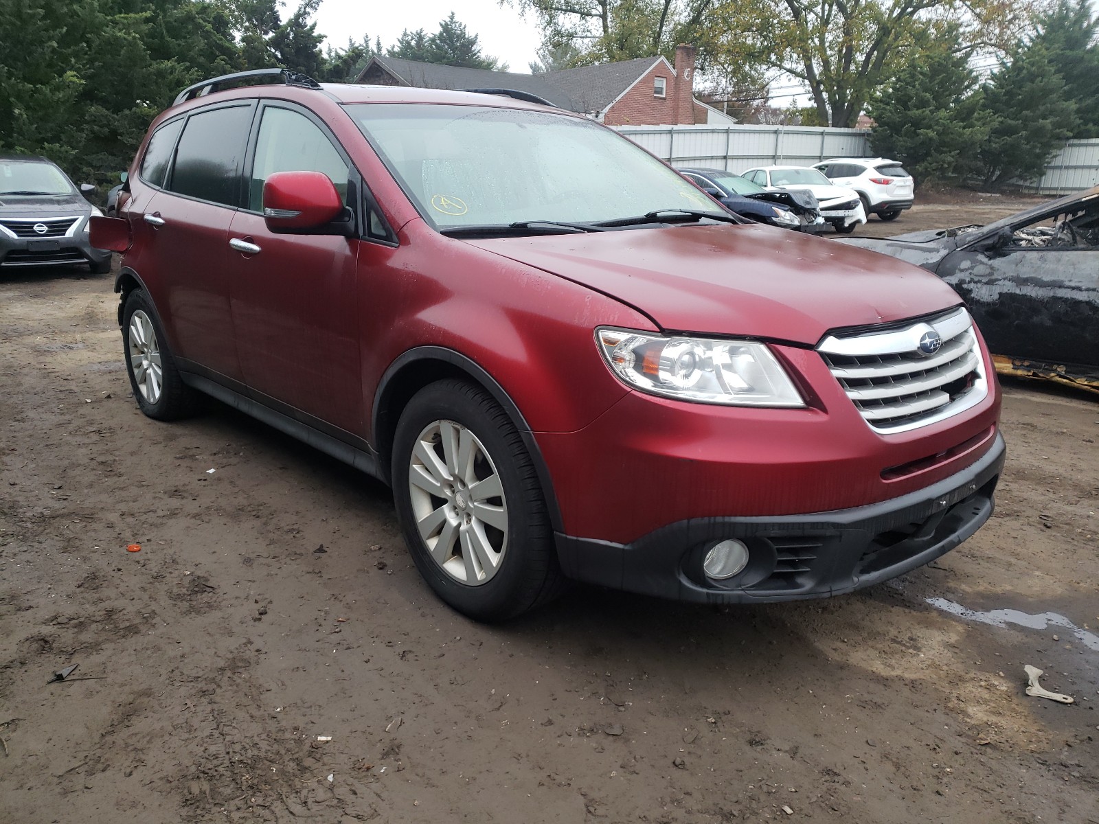 Photo 0 VIN: 4S4WX92D994401624 - SUBARU TRIBECA LI 