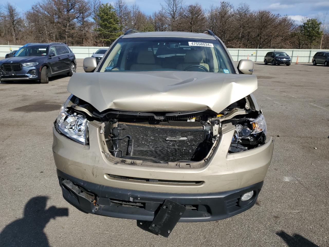 Photo 4 VIN: 4S4WX97DX84408198 - SUBARU TRIBECA 