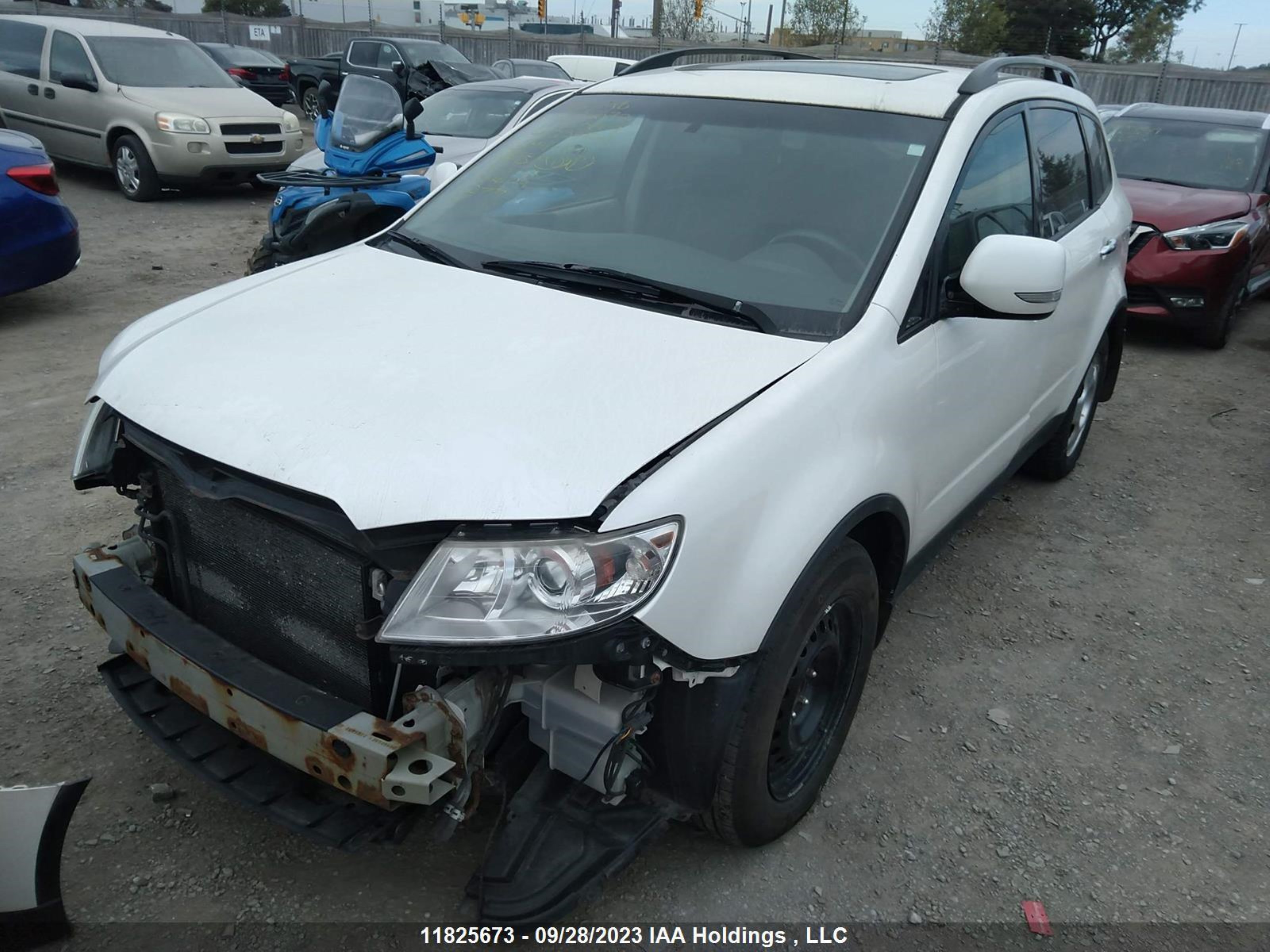 Photo 1 VIN: 4S4WX9FD2B4402372 - SUBARU TRIBECA 