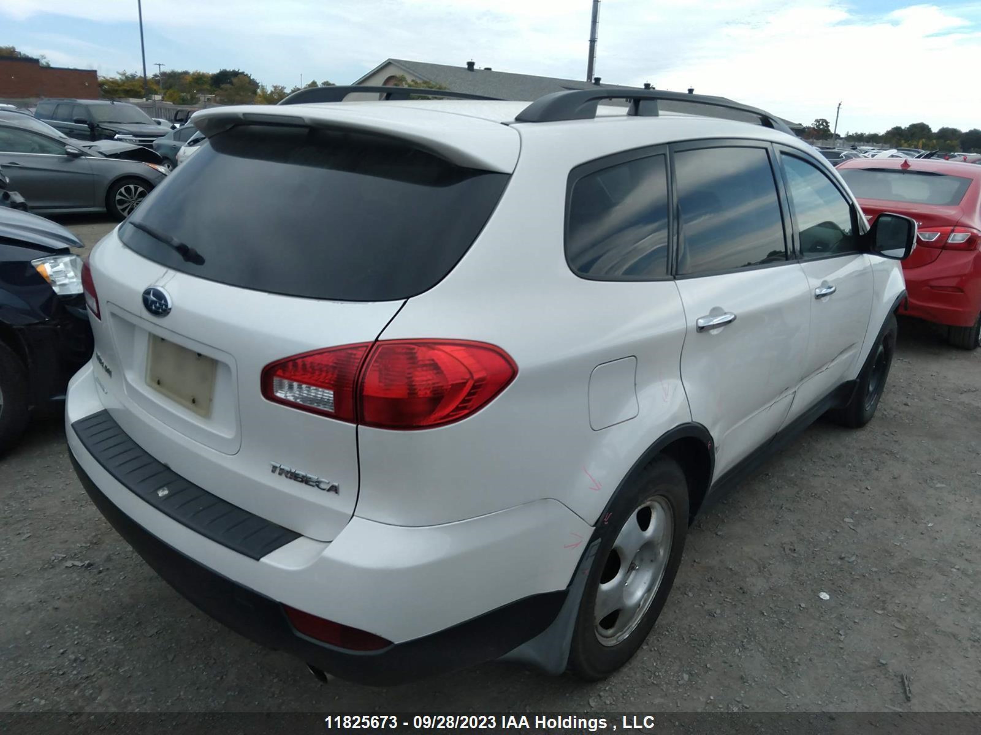 Photo 3 VIN: 4S4WX9FD2B4402372 - SUBARU TRIBECA 