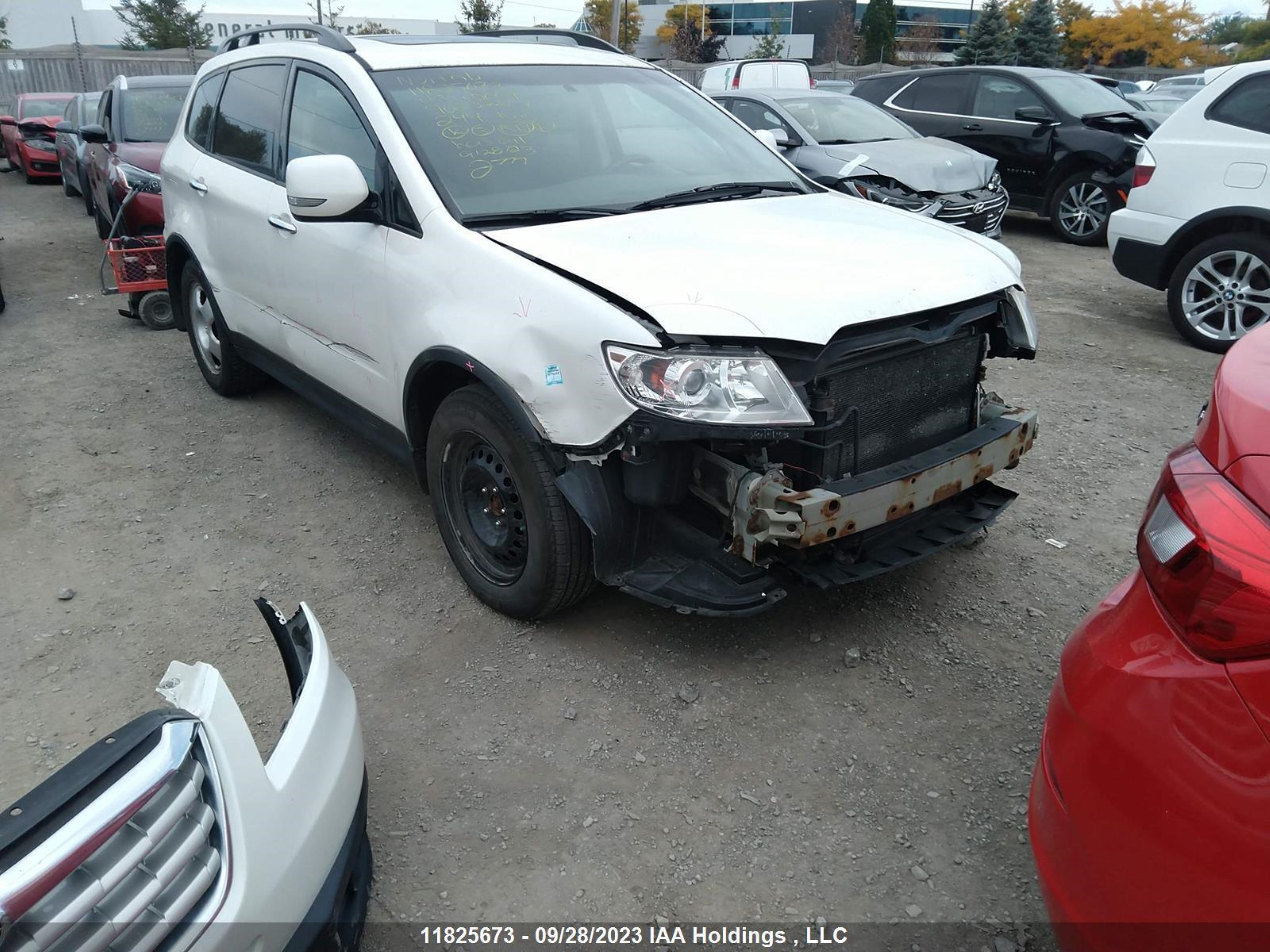 Photo 5 VIN: 4S4WX9FD2B4402372 - SUBARU TRIBECA 