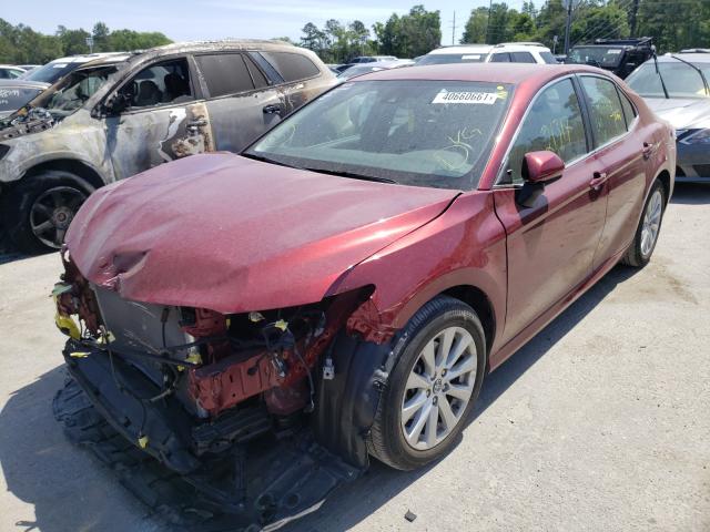 Photo 1 VIN: 4T1B11HK0KU686307 - TOYOTA CAMRY L 