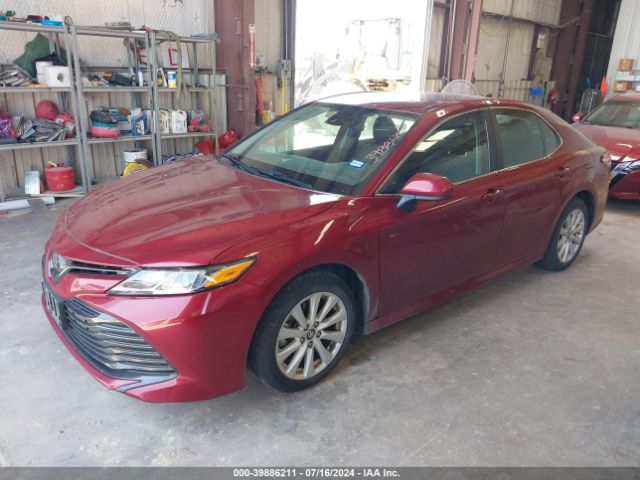 Photo 1 VIN: 4T1B11HK0KU797942 - TOYOTA CAMRY 