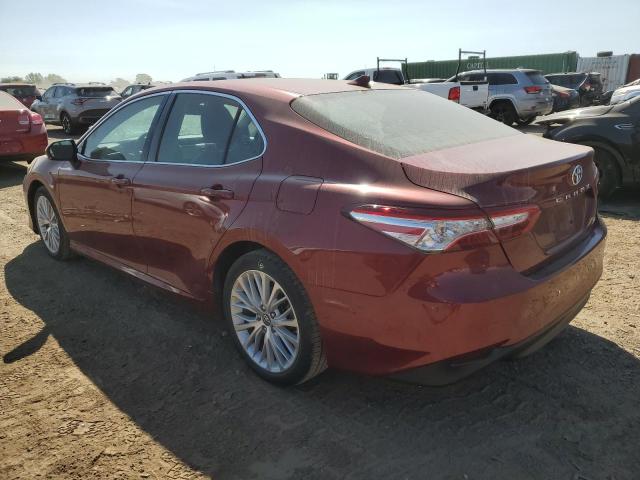 Photo 1 VIN: 4T1B11HK0KU824301 - TOYOTA CAMRY L 