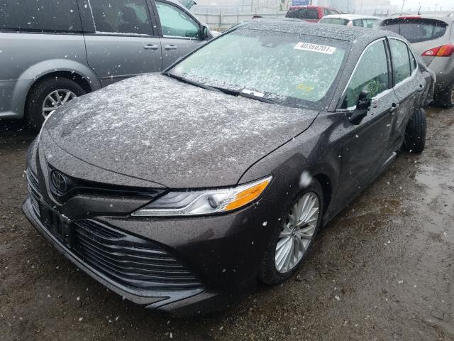 Photo 1 VIN: 4T1B11HK1JU501650 - TOYOTA CAMRY L 