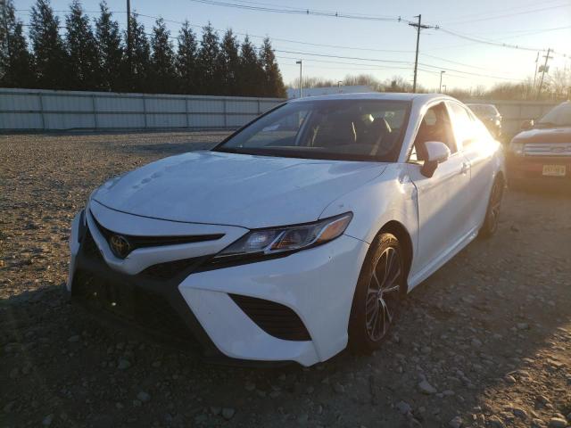 Photo 1 VIN: 4T1B11HK2KU754185 - TOYOTA CAMRY 