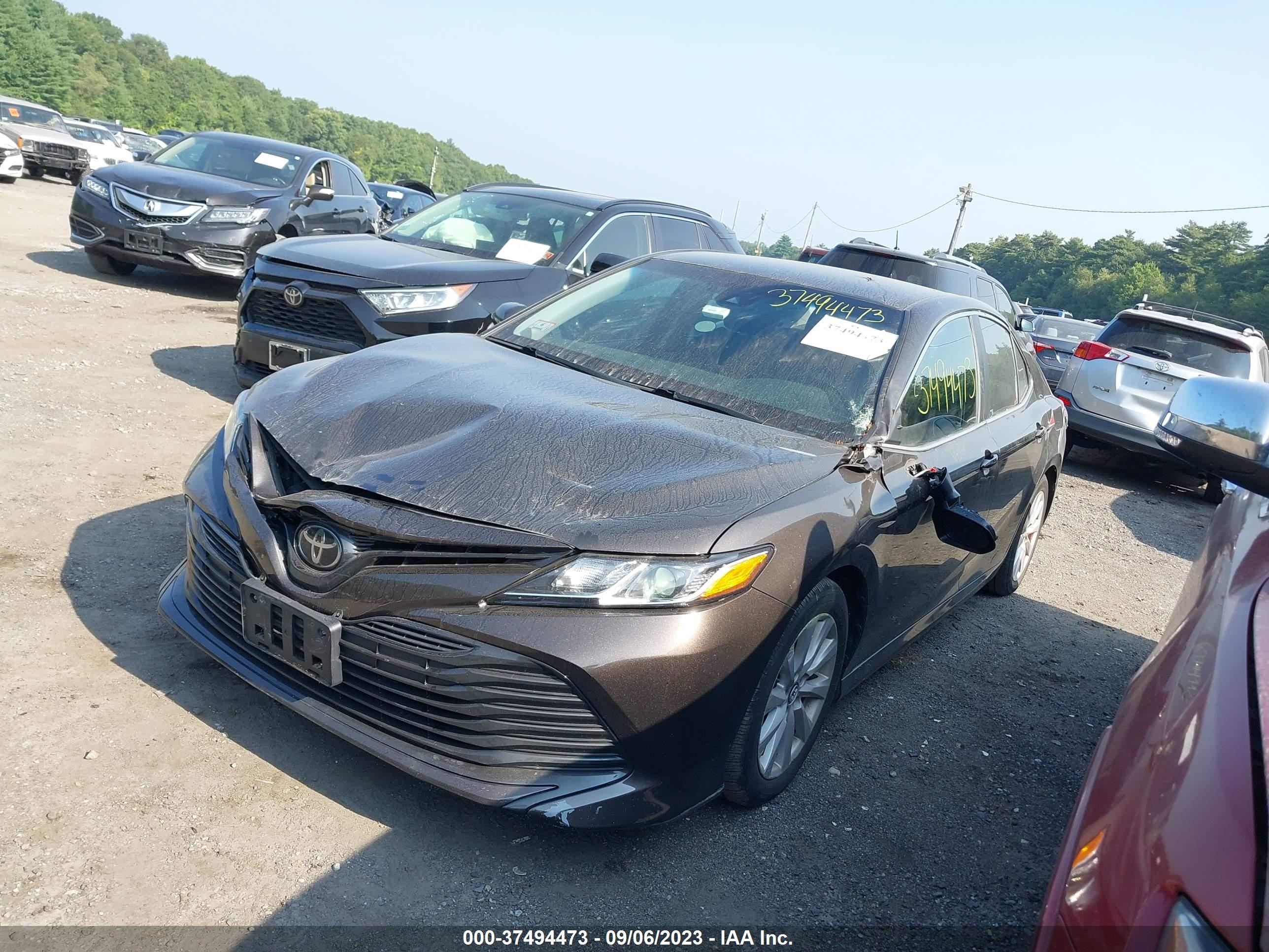 Photo 1 VIN: 4T1B11HK3JU088033 - TOYOTA CAMRY 