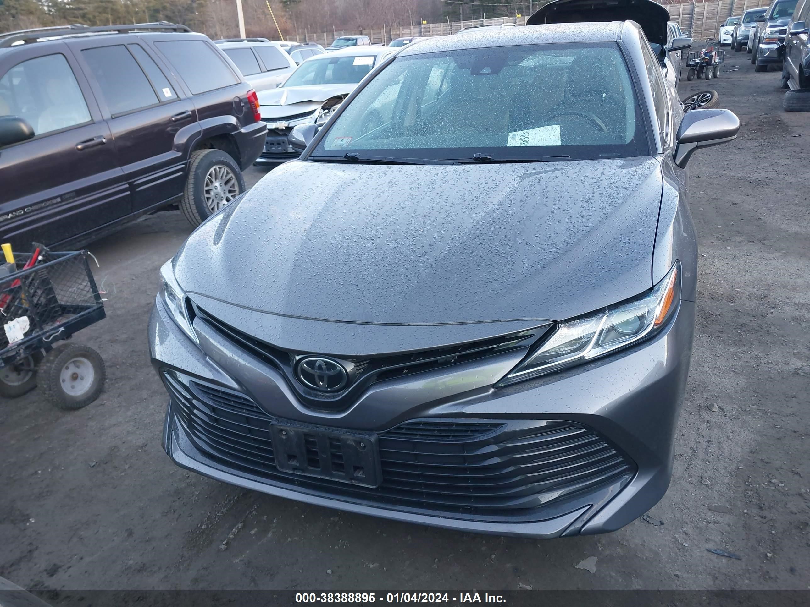 Photo 12 VIN: 4T1B11HK4KU699481 - TOYOTA CAMRY 