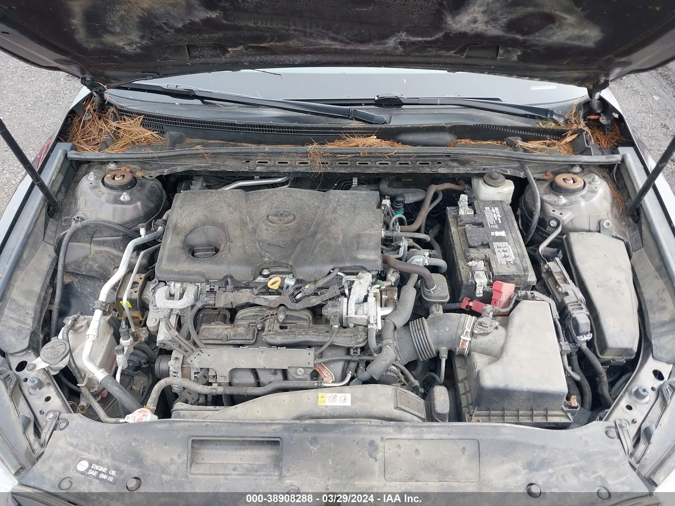 Photo 9 VIN: 4T1B11HK5JU013219 - TOYOTA CAMRY 