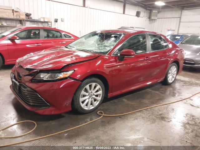 Photo 1 VIN: 4T1B11HK6JU529282 - TOYOTA CAMRY 