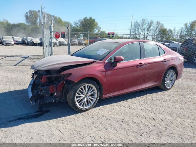 Photo 1 VIN: 4T1B11HK8JU562798 - TOYOTA CAMRY 