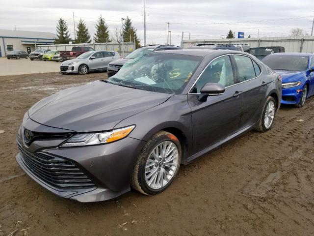 Photo 1 VIN: 4T1B11HK9JU141835 - TOYOTA CAMRY L 