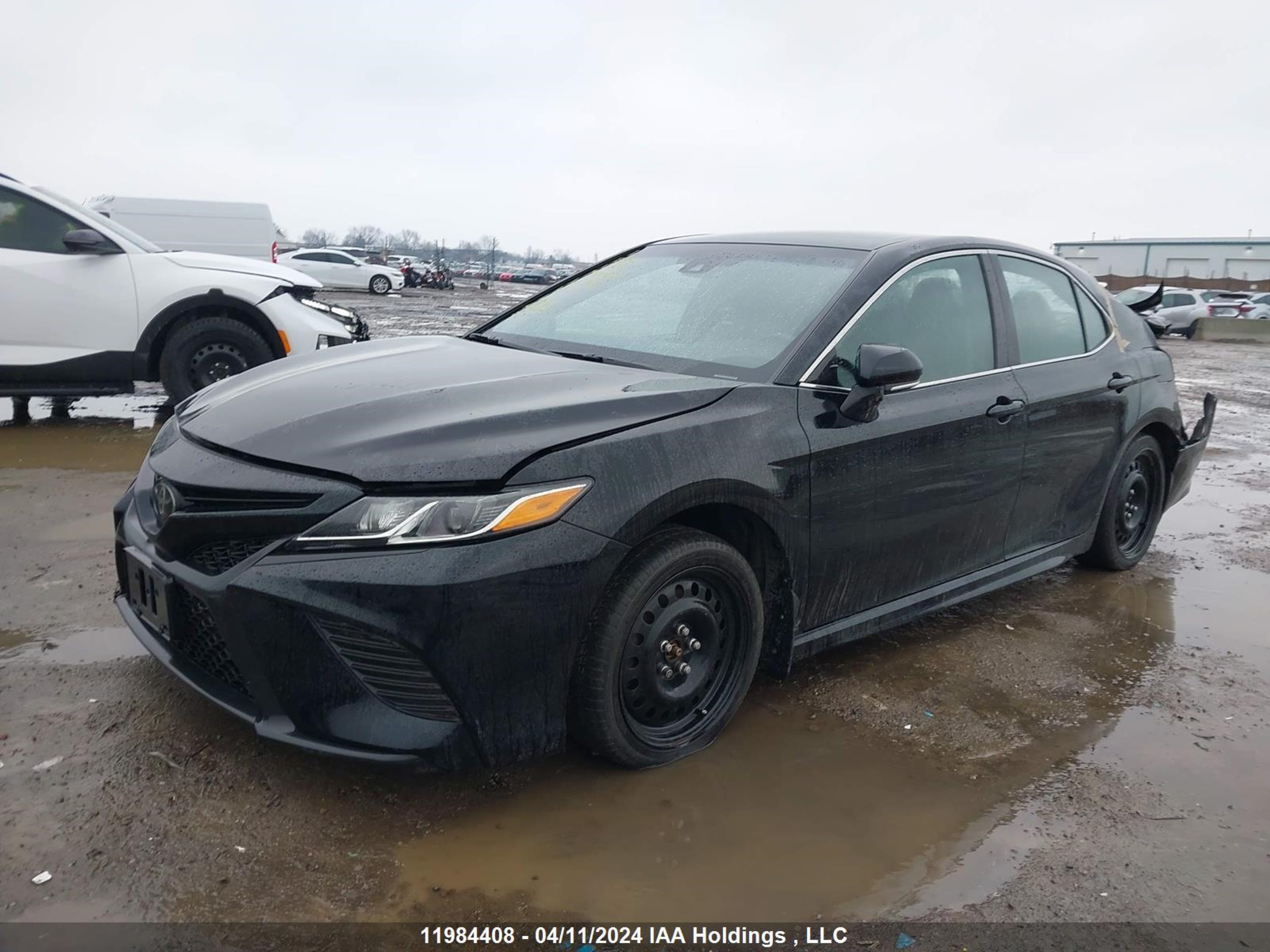 Photo 1 VIN: 4T1B11HK9KU229611 - TOYOTA CAMRY 