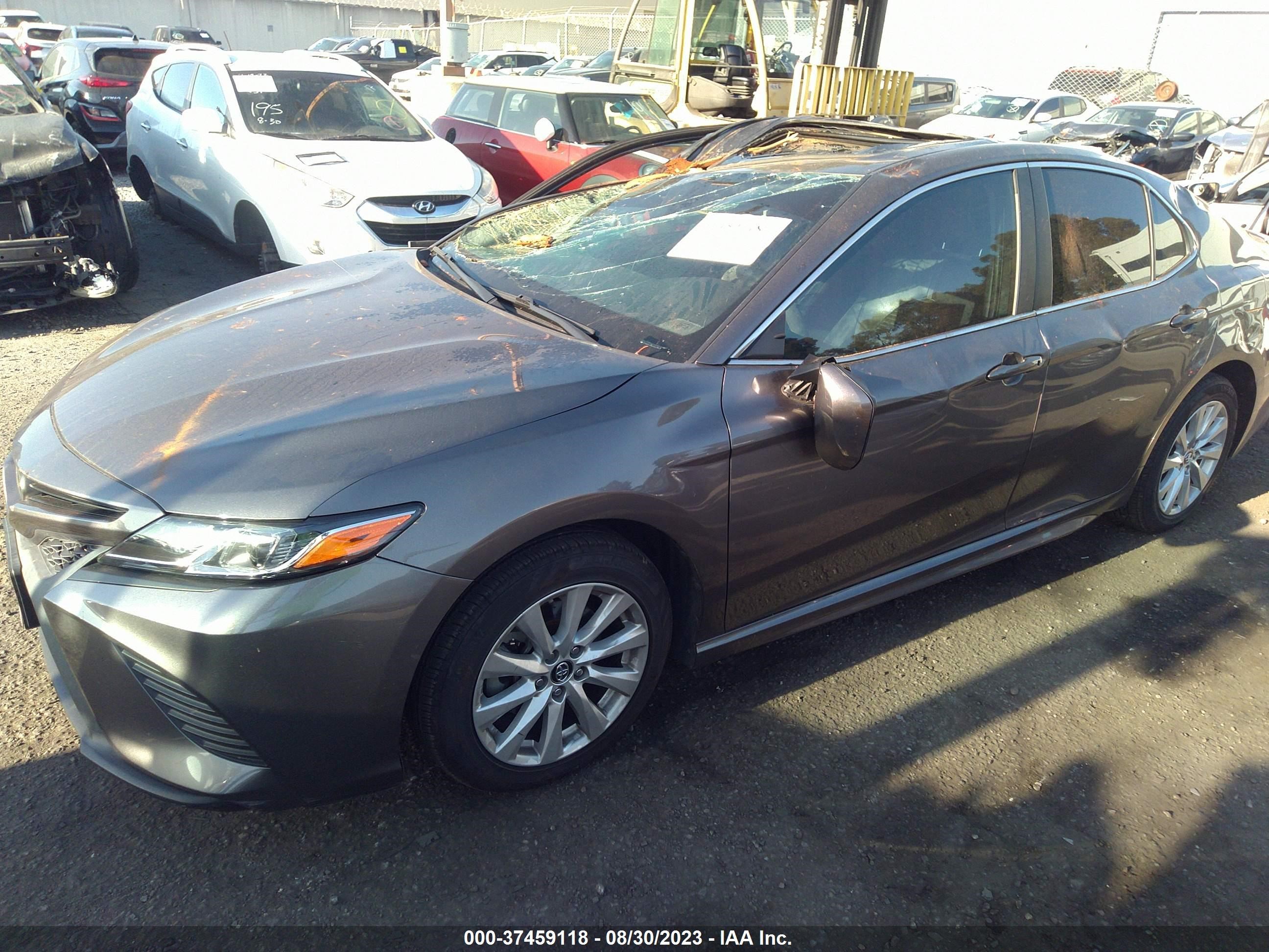 Photo 1 VIN: 4T1B11HK9KU829772 - TOYOTA CAMRY 