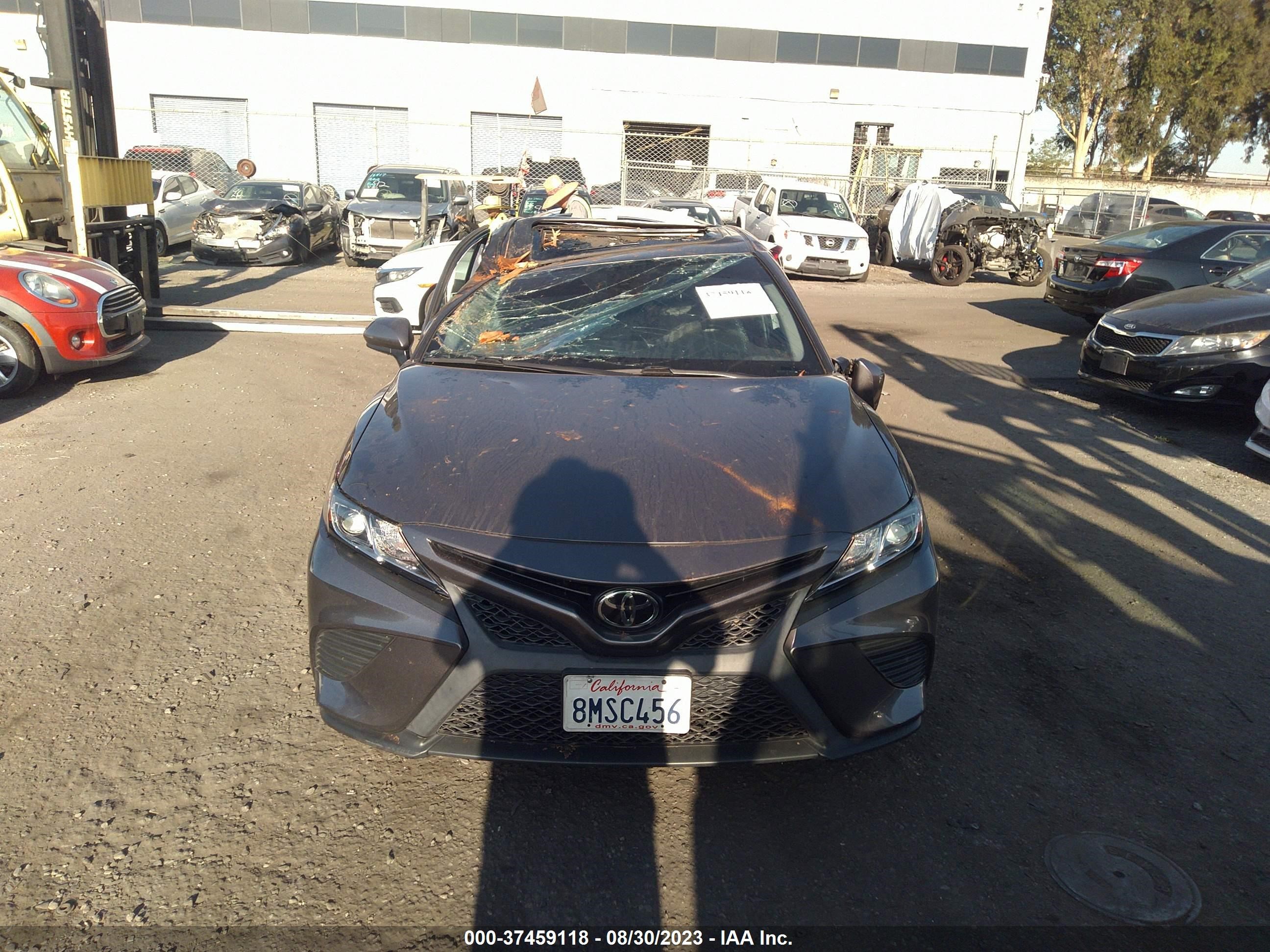 Photo 12 VIN: 4T1B11HK9KU829772 - TOYOTA CAMRY 