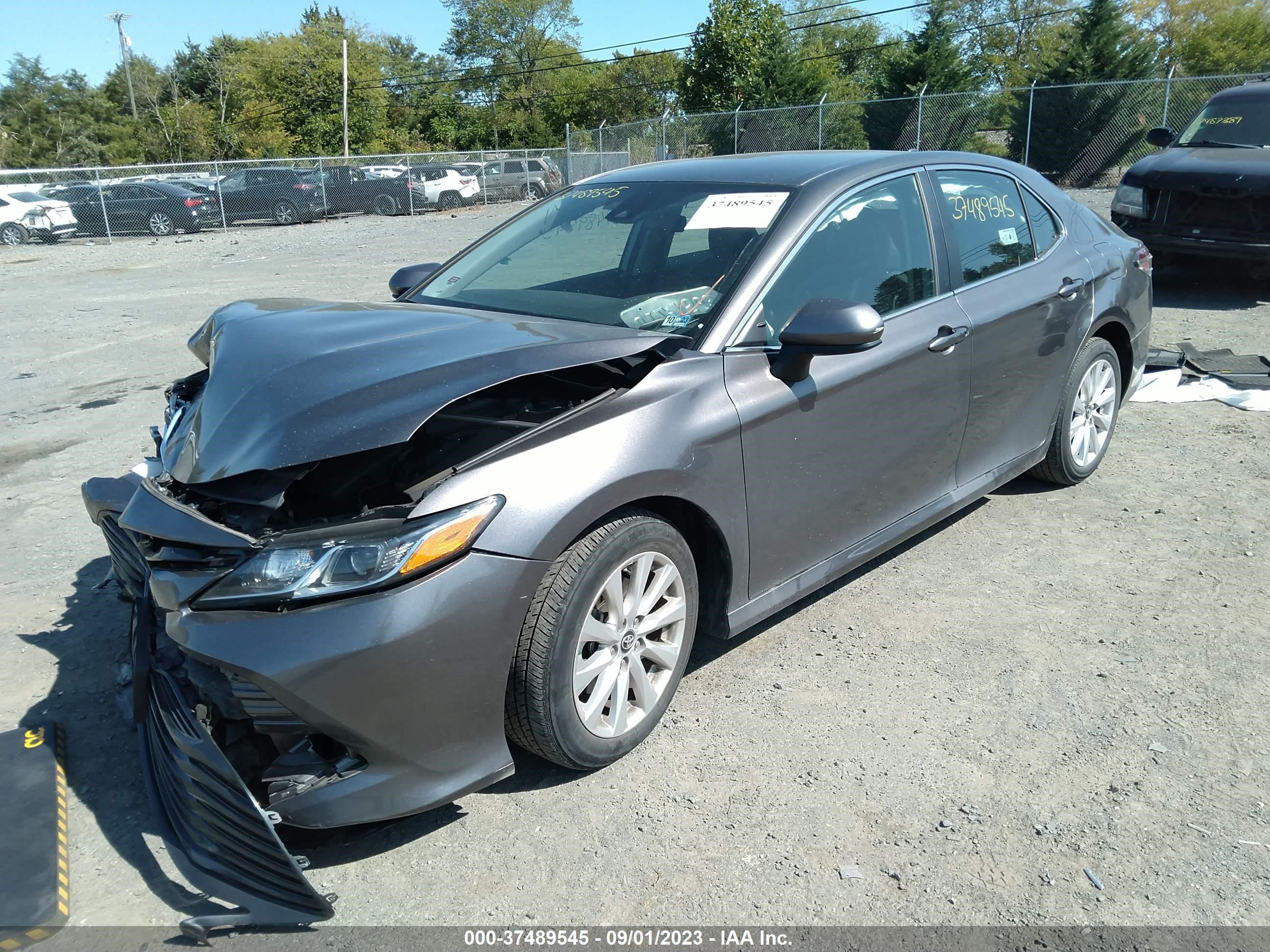 Photo 1 VIN: 4T1B11HKXKU694382 - TOYOTA CAMRY 