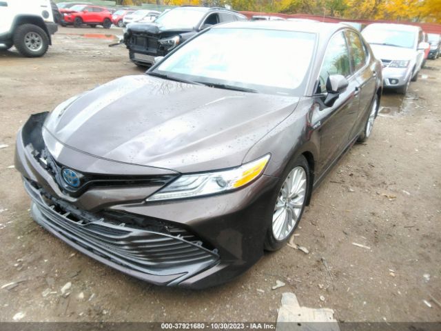 Photo 1 VIN: 4T1B21HK1KU520262 - TOYOTA CAMRY 