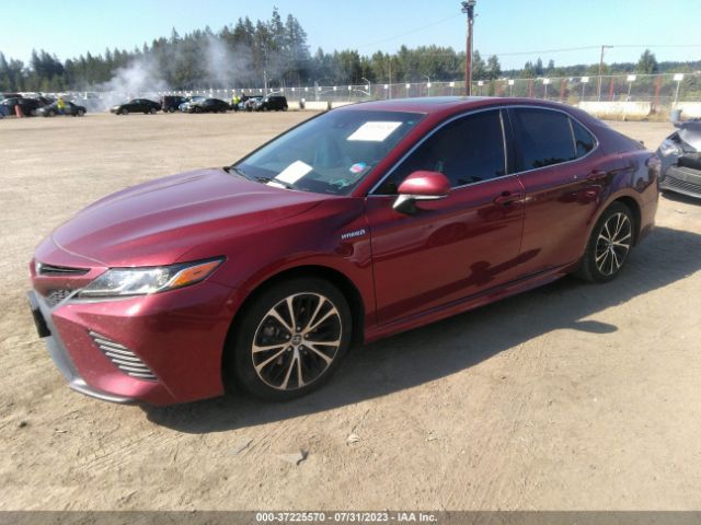 Photo 1 VIN: 4T1B21HK8JU509435 - TOYOTA CAMRY 