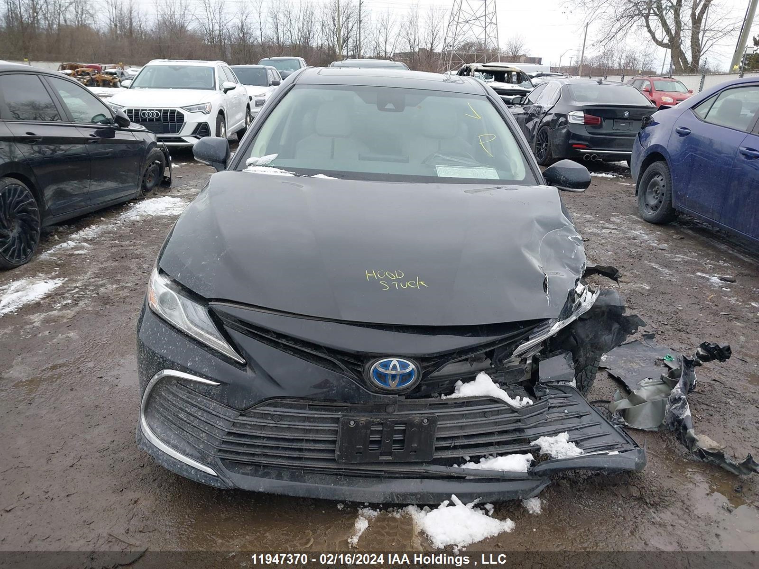 Photo 11 VIN: 4T1B21HK9MU016156 - TOYOTA CAMRY 