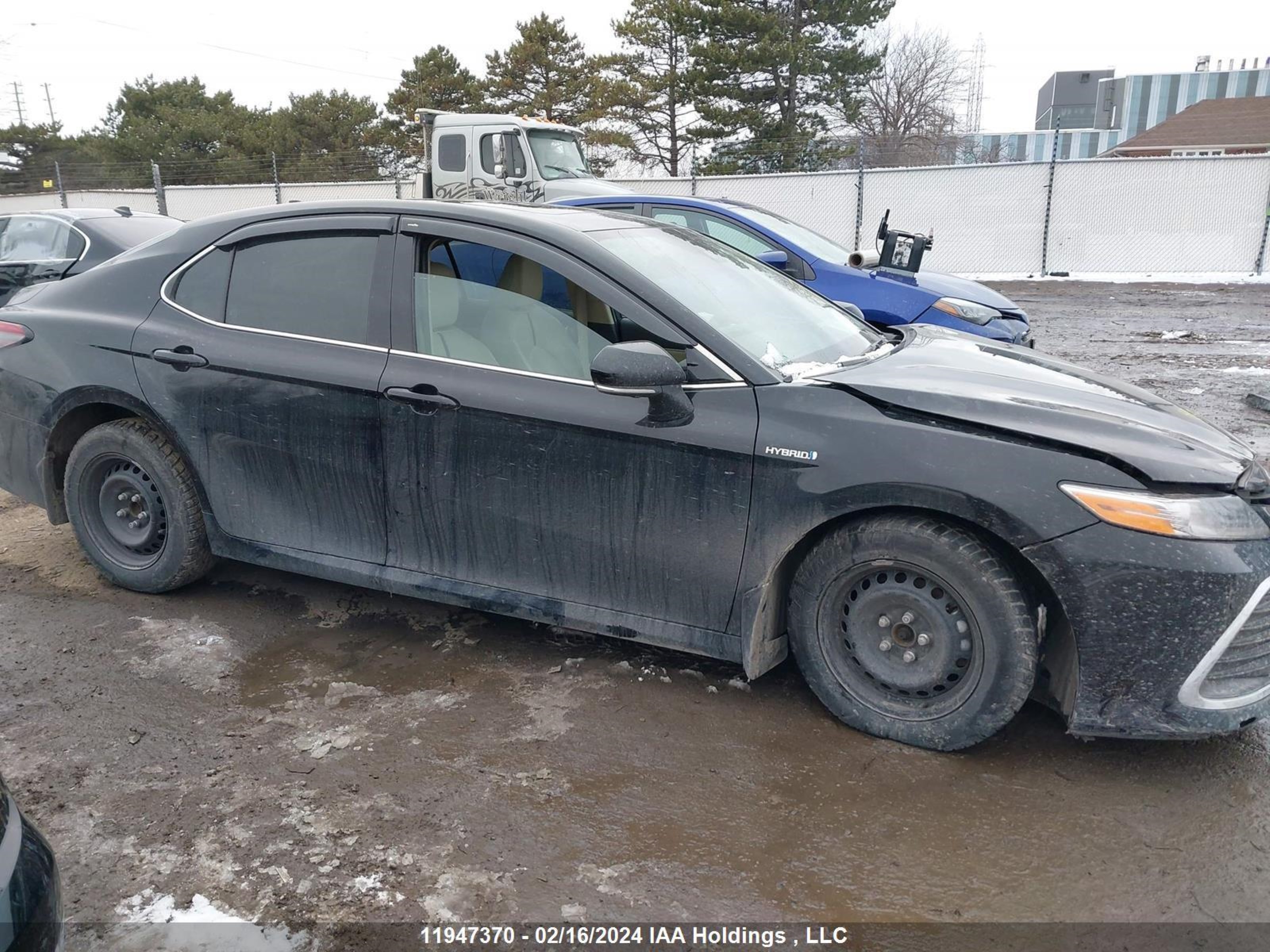 Photo 12 VIN: 4T1B21HK9MU016156 - TOYOTA CAMRY 