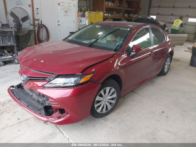 Photo 1 VIN: 4T1B31HK0KU515759 - TOYOTA CAMRY 