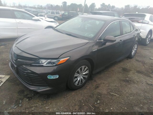 Photo 1 VIN: 4T1B31HK1KU008059 - TOYOTA CAMRY 