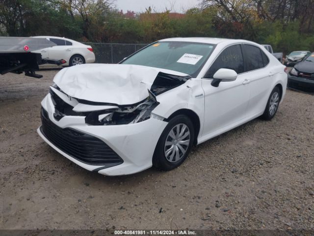 Photo 1 VIN: 4T1B31HK3KU511656 - TOYOTA CAMRY 