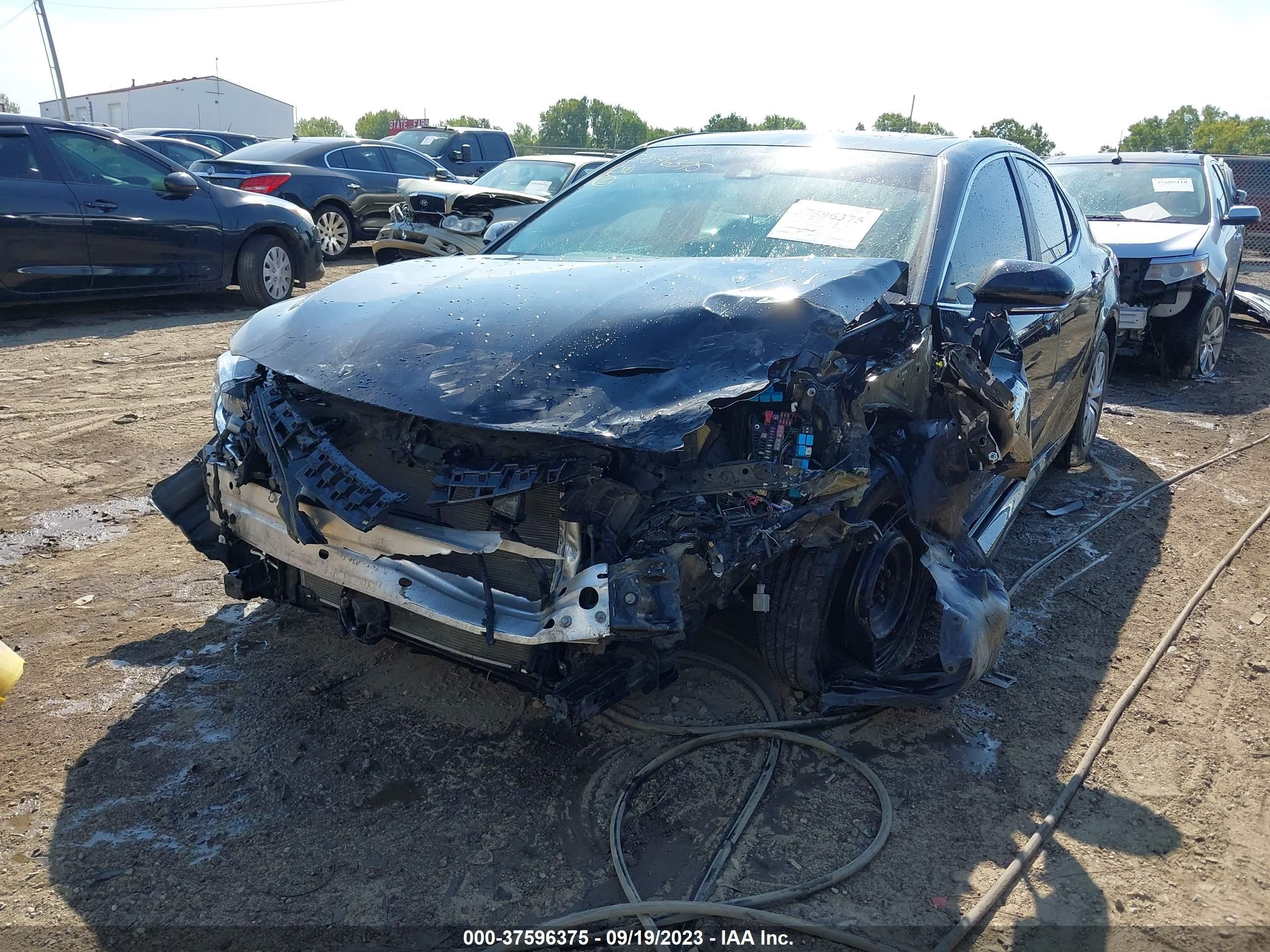 Photo 1 VIN: 4T1B31HK3KU516033 - TOYOTA CAMRY 