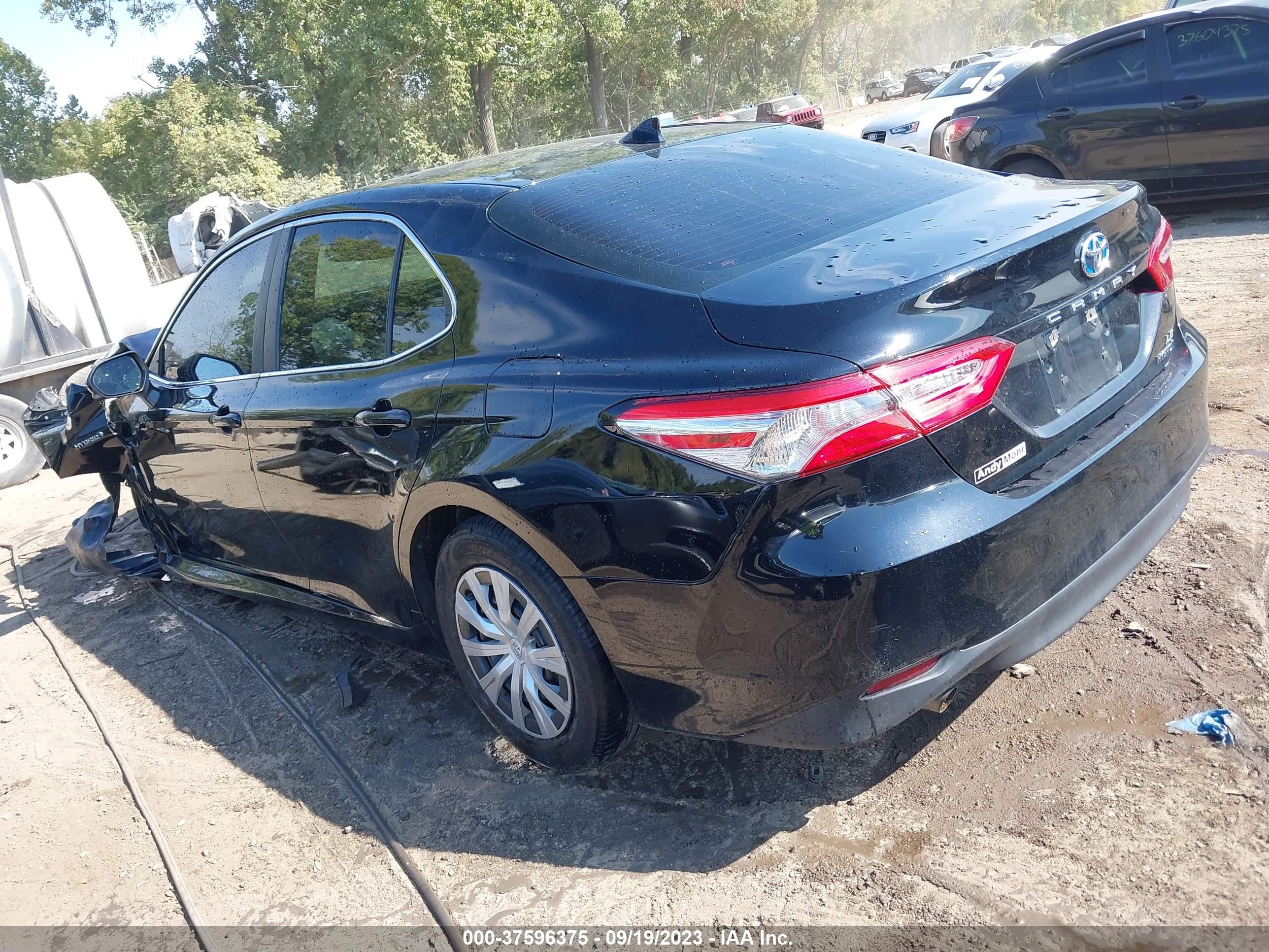 Photo 2 VIN: 4T1B31HK3KU516033 - TOYOTA CAMRY 