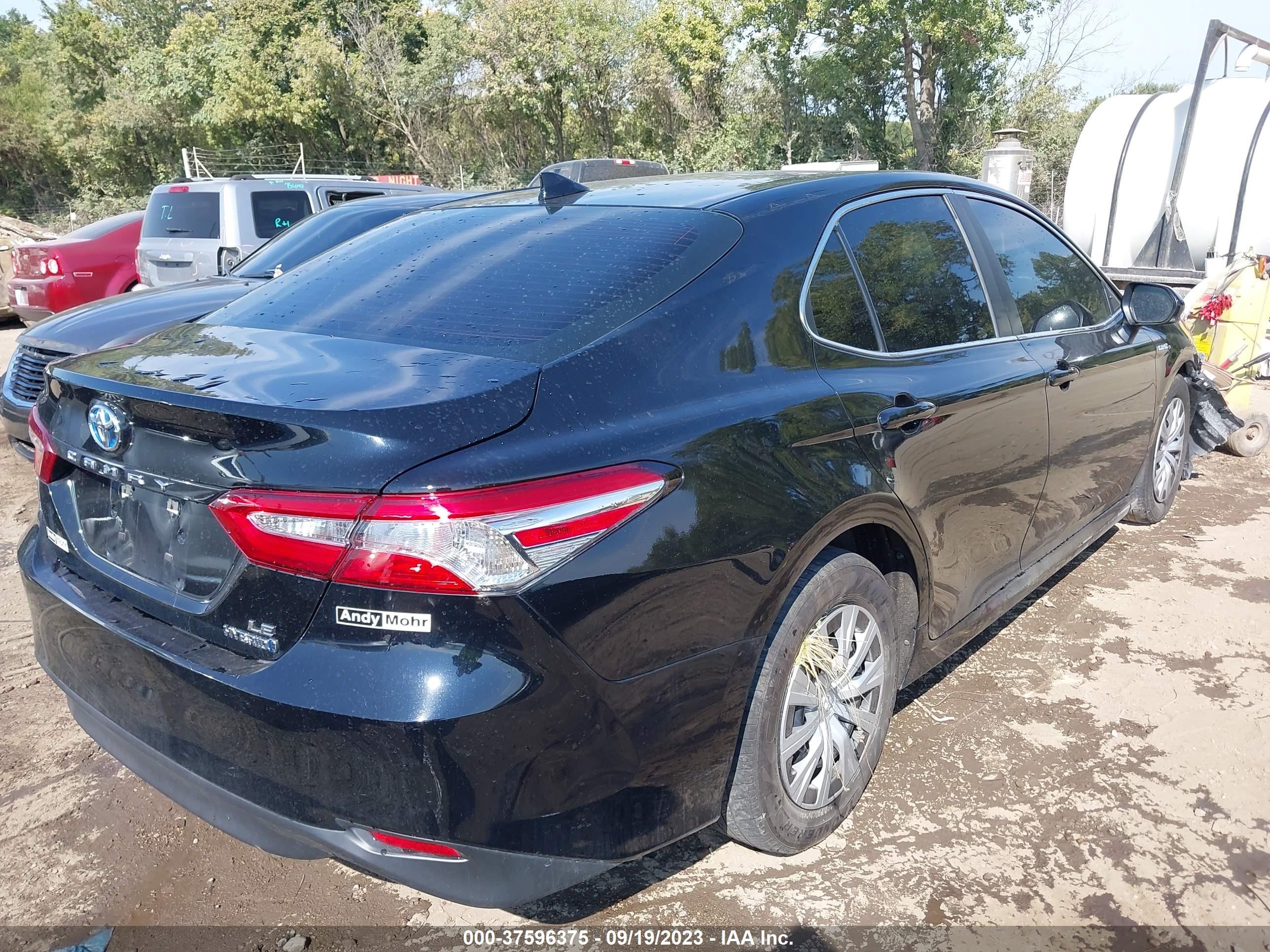 Photo 3 VIN: 4T1B31HK3KU516033 - TOYOTA CAMRY 