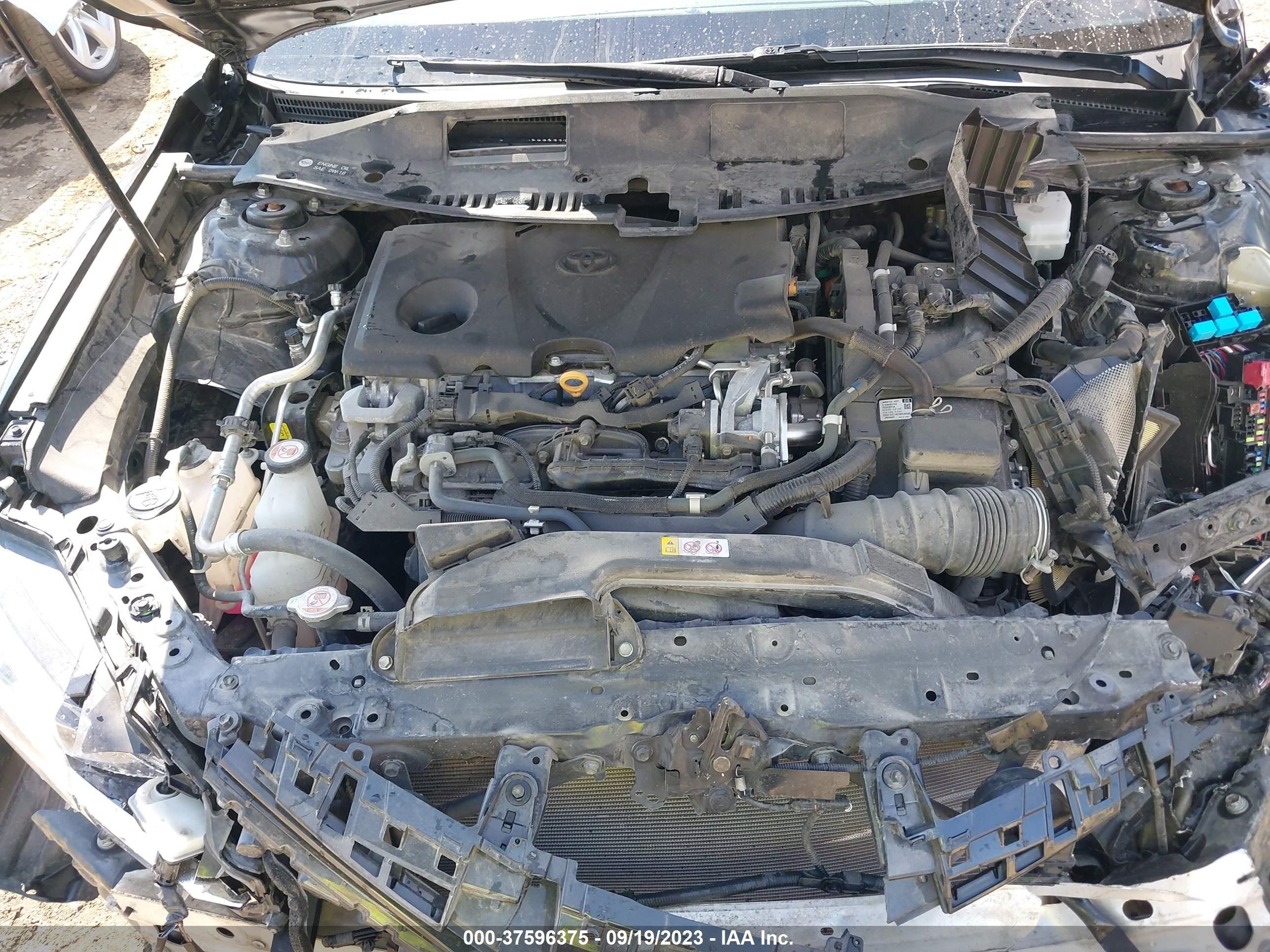 Photo 9 VIN: 4T1B31HK3KU516033 - TOYOTA CAMRY 