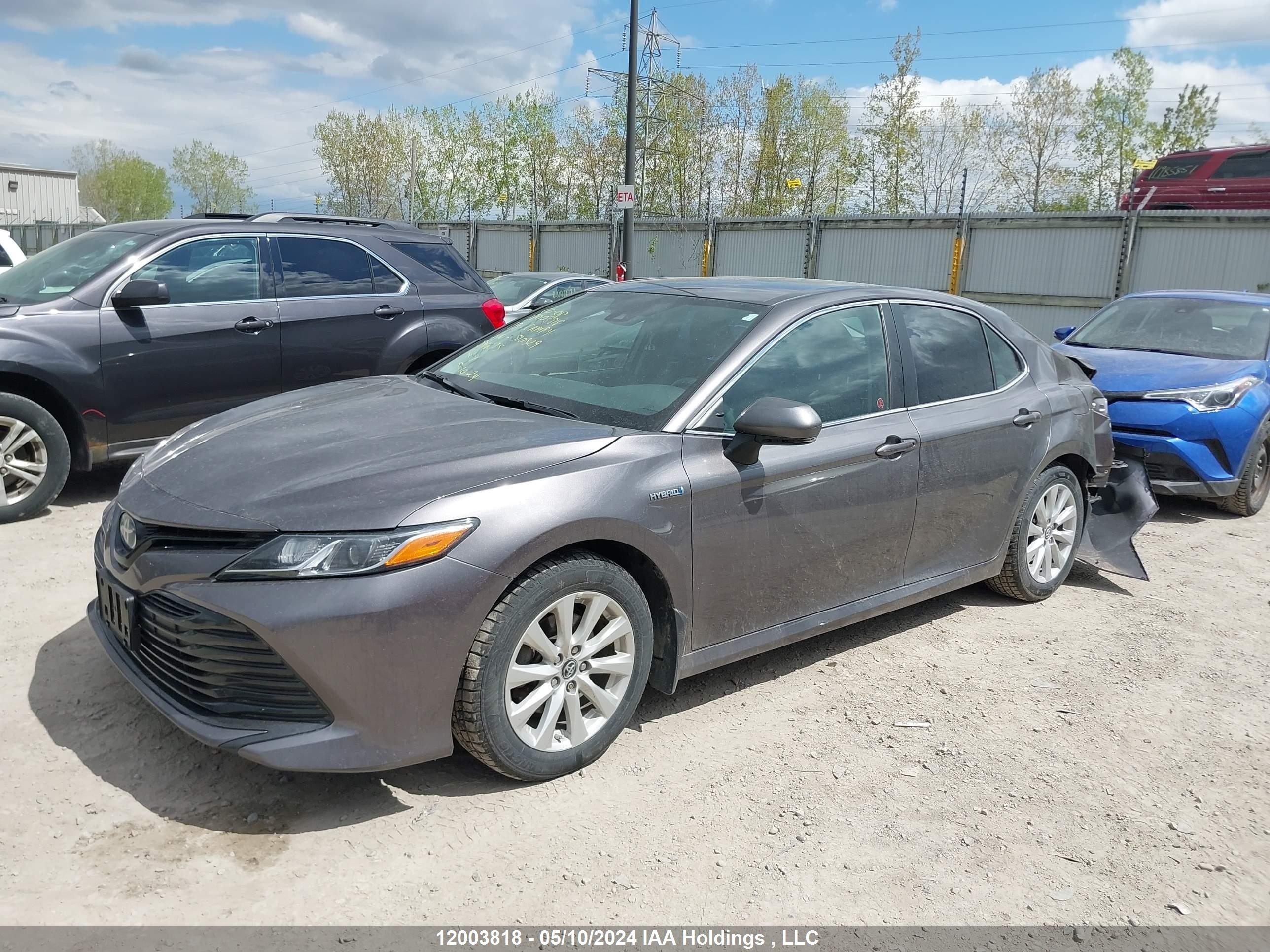 Photo 1 VIN: 4T1B31HK5KU510329 - TOYOTA CAMRY 