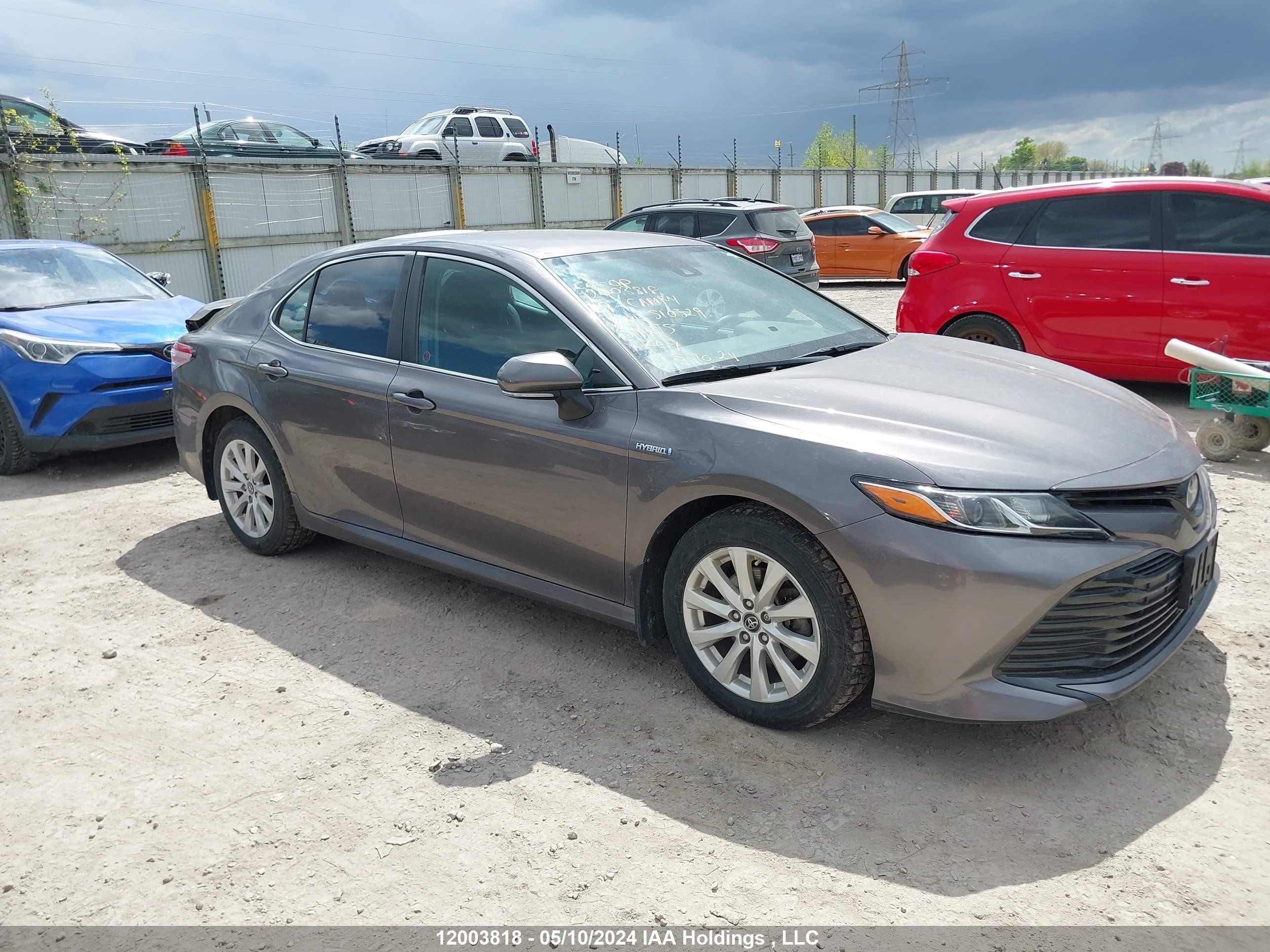 Photo 12 VIN: 4T1B31HK5KU510329 - TOYOTA CAMRY 