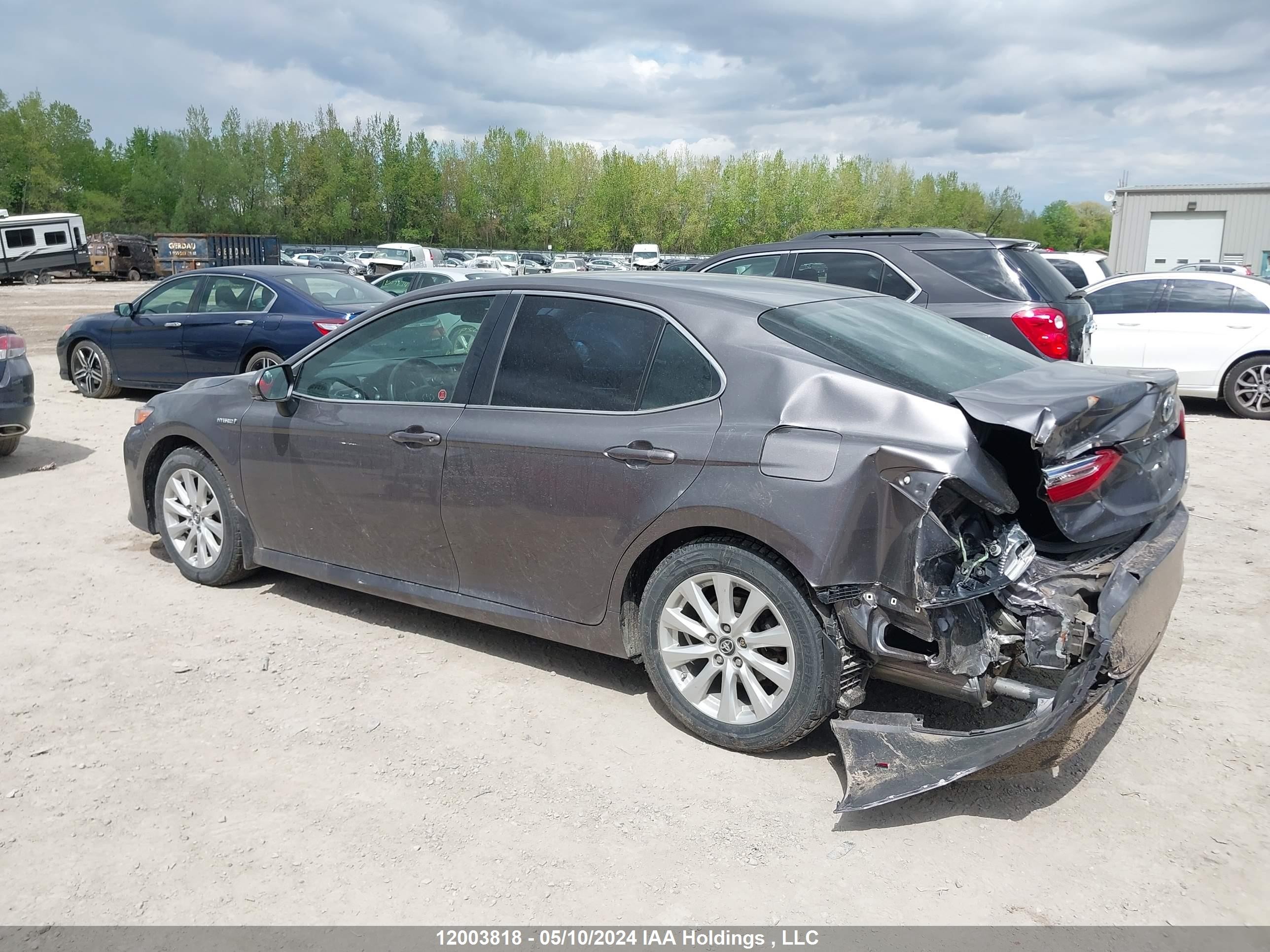 Photo 13 VIN: 4T1B31HK5KU510329 - TOYOTA CAMRY 