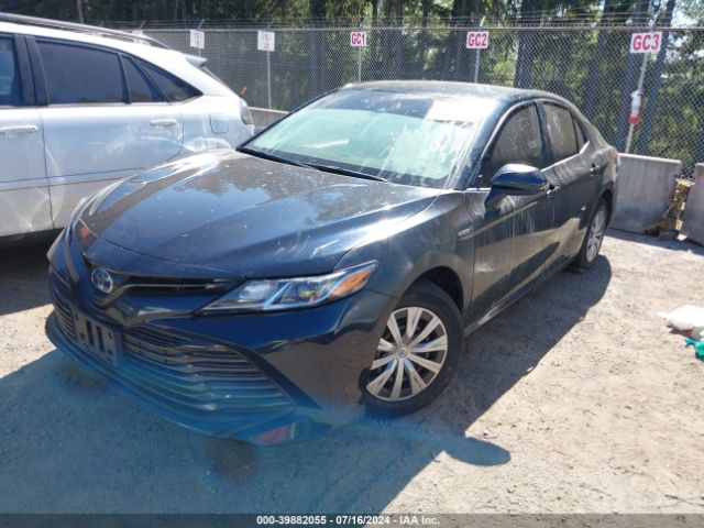 Photo 1 VIN: 4T1B31HK5KU514462 - TOYOTA CAMRY 