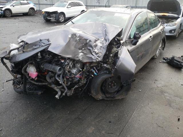 Photo 1 VIN: 4T1B31HK7JU502389 - TOYOTA CAMRY LE 