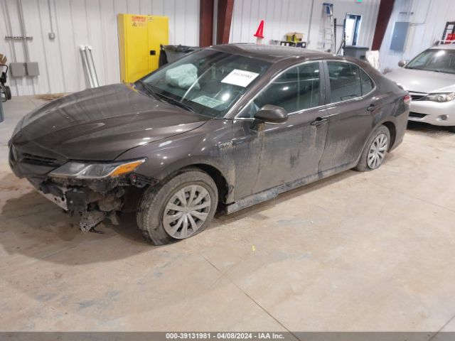 Photo 1 VIN: 4T1B31HK7KU515645 - TOYOTA CAMRY 