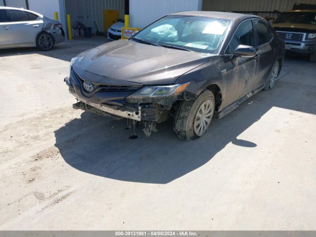 Photo 5 VIN: 4T1B31HK7KU515645 - TOYOTA CAMRY 