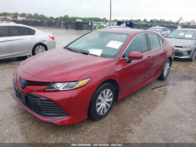 Photo 1 VIN: 4T1B31HK7KU516780 - TOYOTA CAMRY HYBRID 